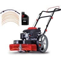 Wiesenmäher WMP161-56 Scheppach - 4